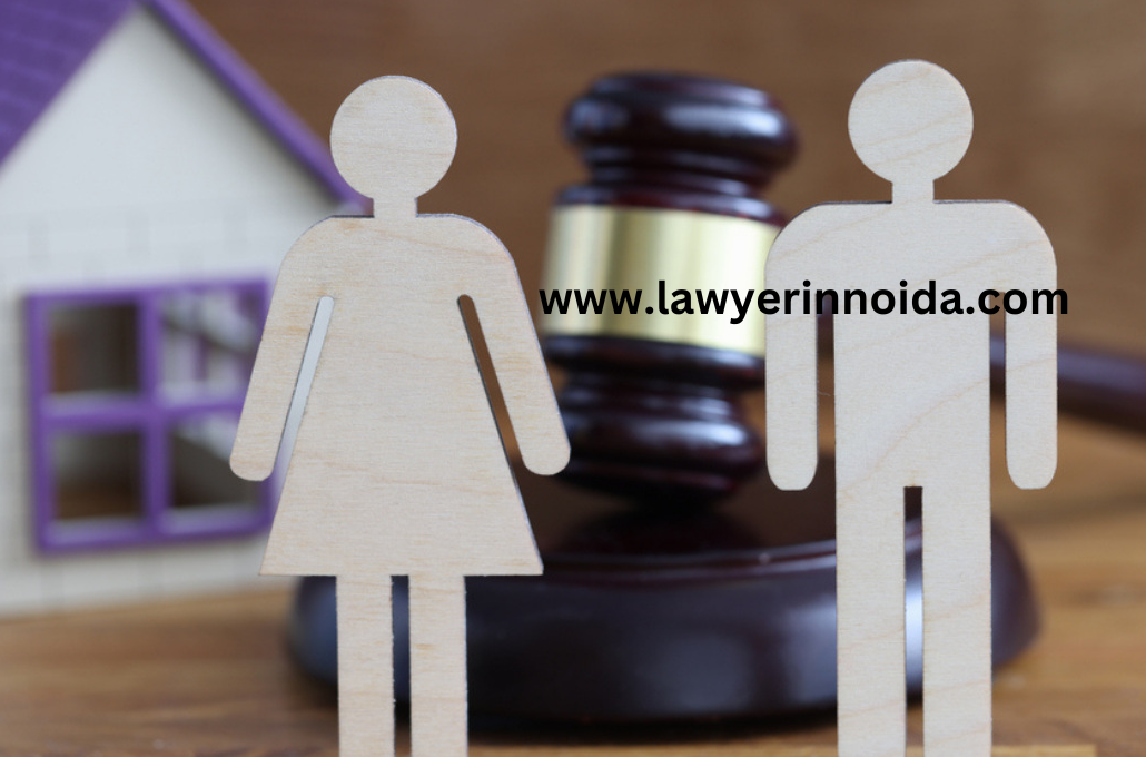 Matrimonial-Property-Division-lawyer-in-noida