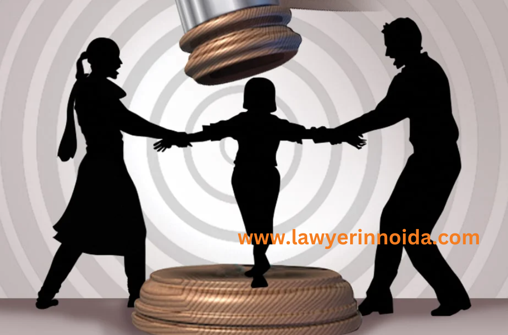 Visitation-Rights-lawyer-in-noida