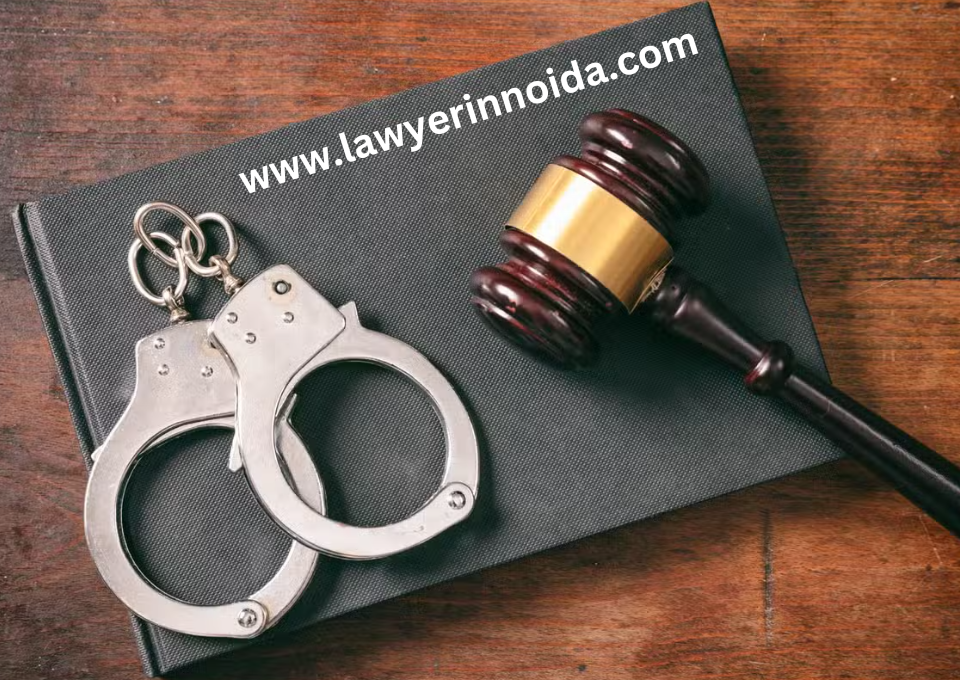 criminal-cases-lawyer-in-noida